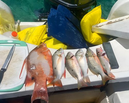 Fishing Adventures - Searious Adventures