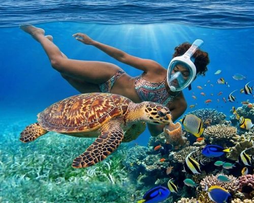 Hol Chan Marin Reserve & Shark Ray Alley Sailing - Searious Adventures